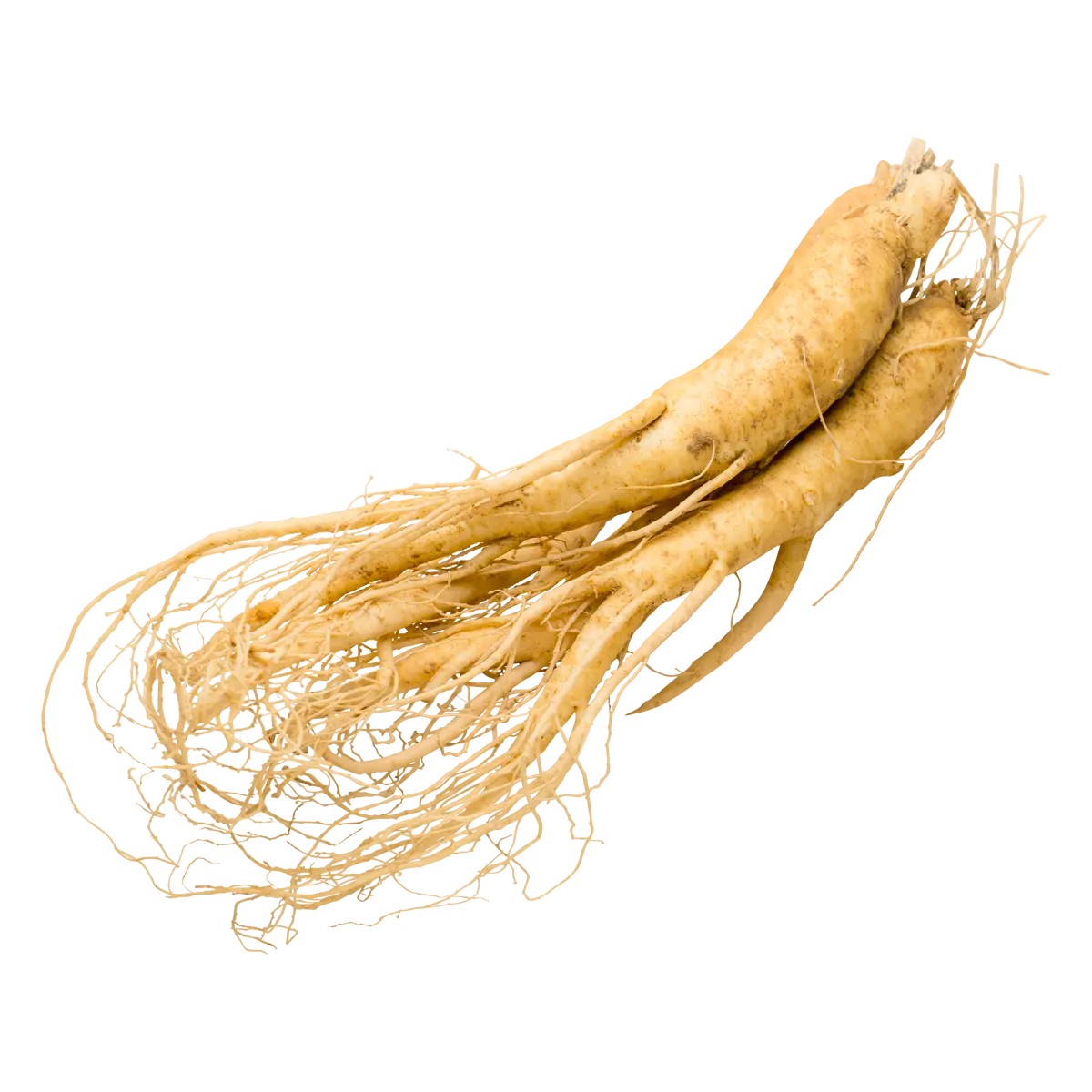 Blood Sugar Ultra®: Ultimas Unidades🌿